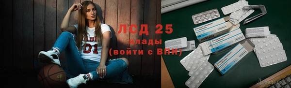 стаф Михайлов