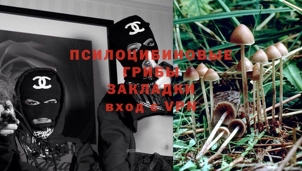 прущие грибы Навашино